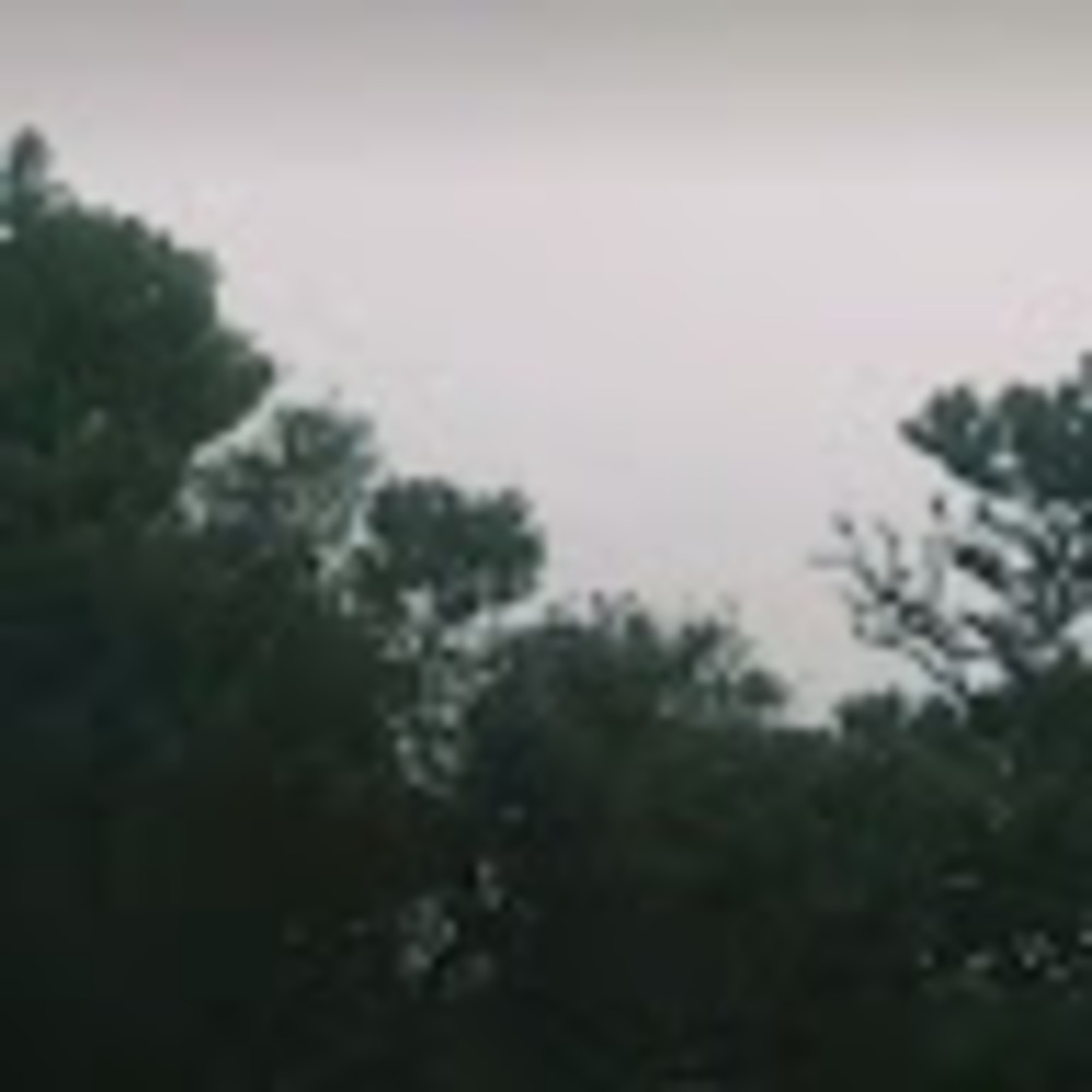 Meet your Posher, Felicia